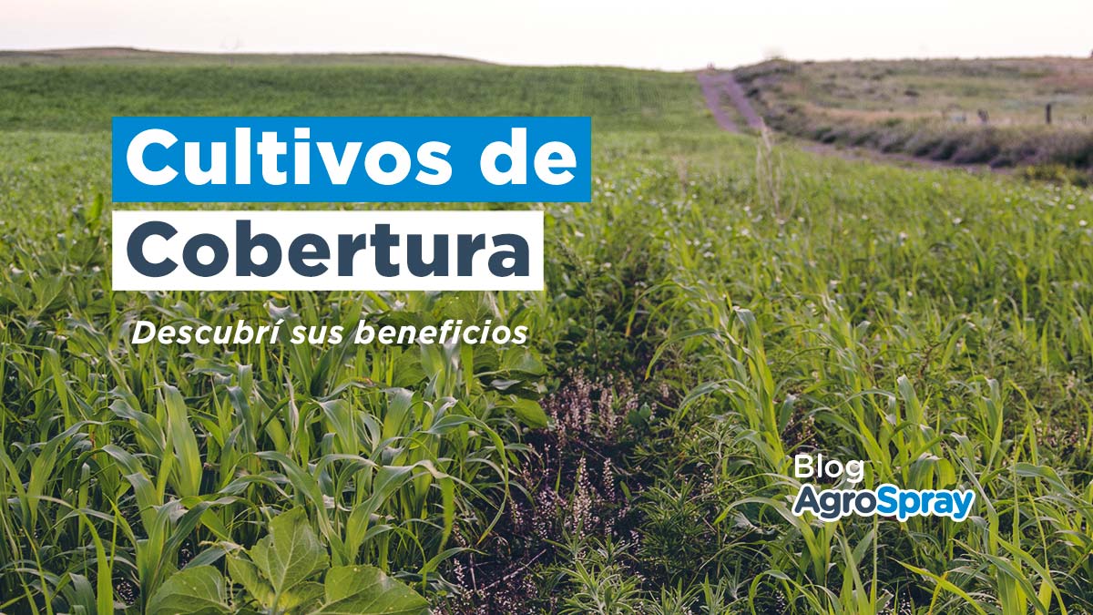 Cultivos De Cobertura Agrospray Blog