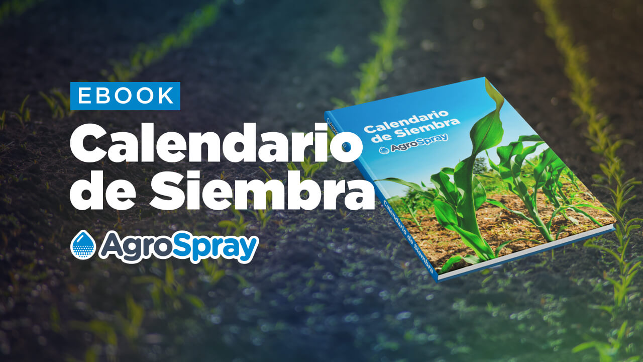 Quer S Conocer El Calendario De Siembras De Agrospray