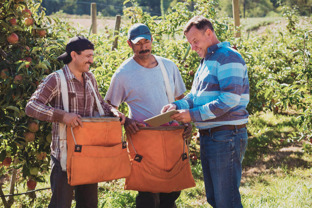 Agricultores-chequeando-fertilizantes