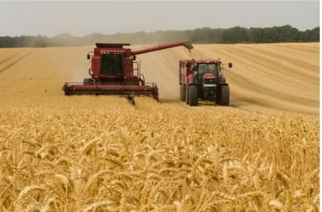 sector-agrícola