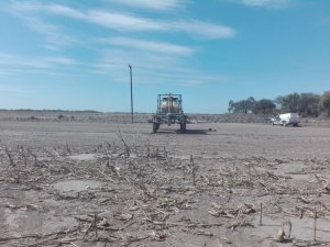 Coadyuvantes agrícolas en acción: tecnología que potencia tus tratamientos