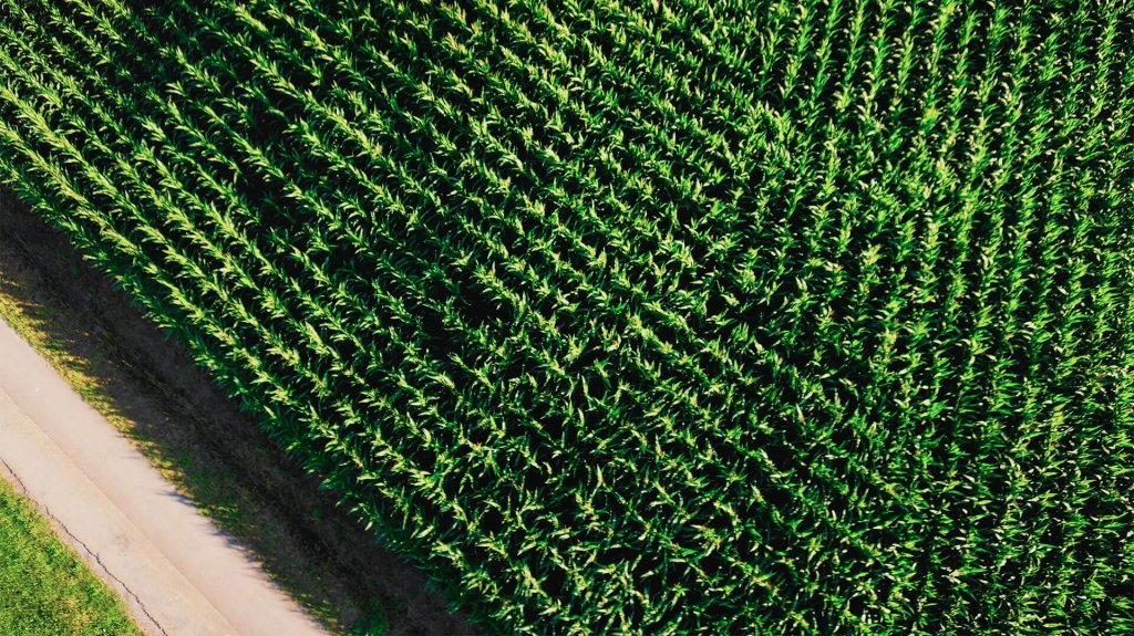 Agricultura de Precisión