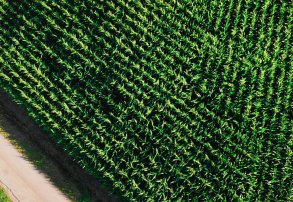 Agricultura de Precisión: Maximizá Resultados