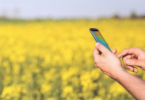 Fitosanitarios: ¿Cómo les Influyen las Condiciones Climáticas?