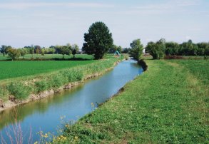 Productos Químicos: ¿Cómo Influye la Calidad del Agua en su Efectividad?