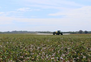 Pastillas Antideriva: Lograr Óptima Calidad de Aplicación