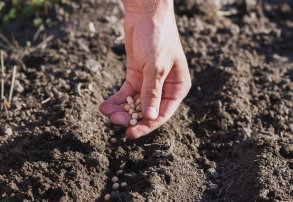 La agricultura y su compromiso con el planeta