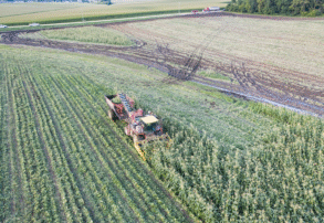 Desafíos y pilares de la producción alimentaria del futuro