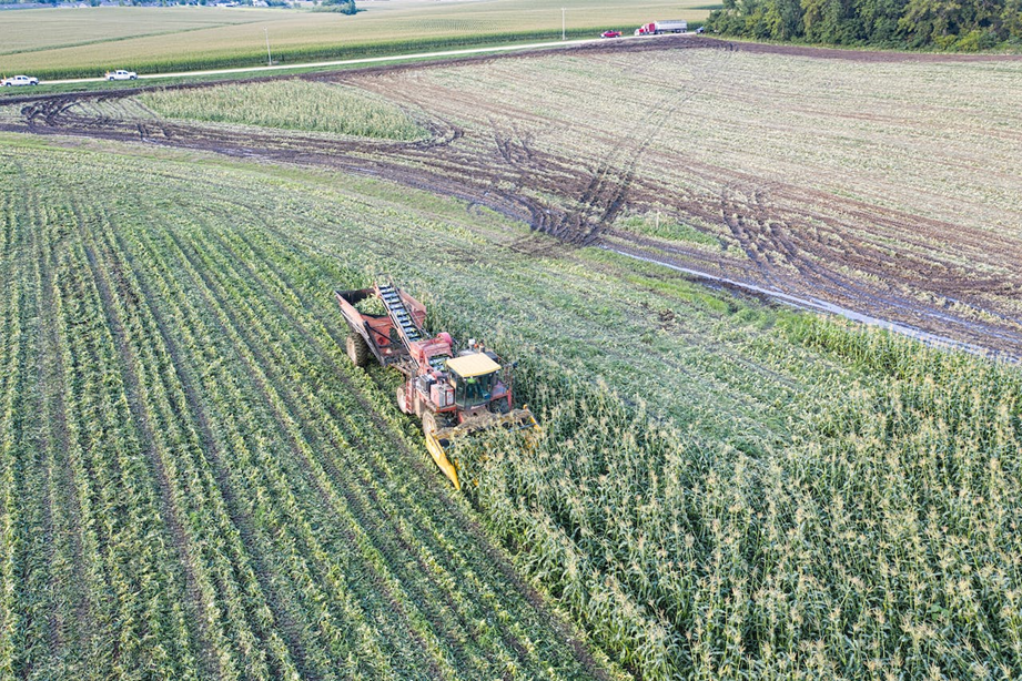 Desafíos y pilares de la producción alimentaria del futuro