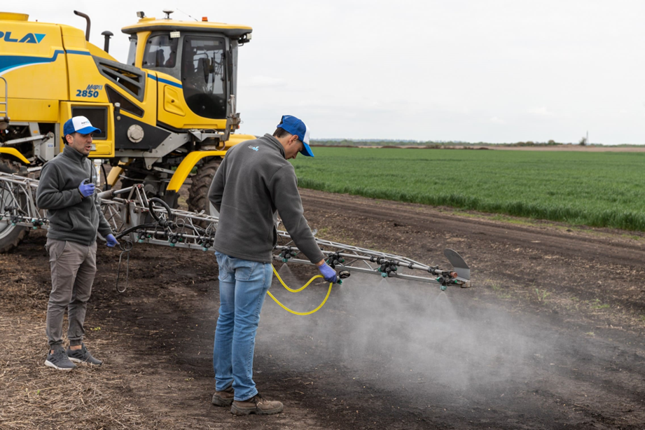Plagas en Trigo y en Cereales de Invierno: Identificación, Prevención y Soluciones Prácticas