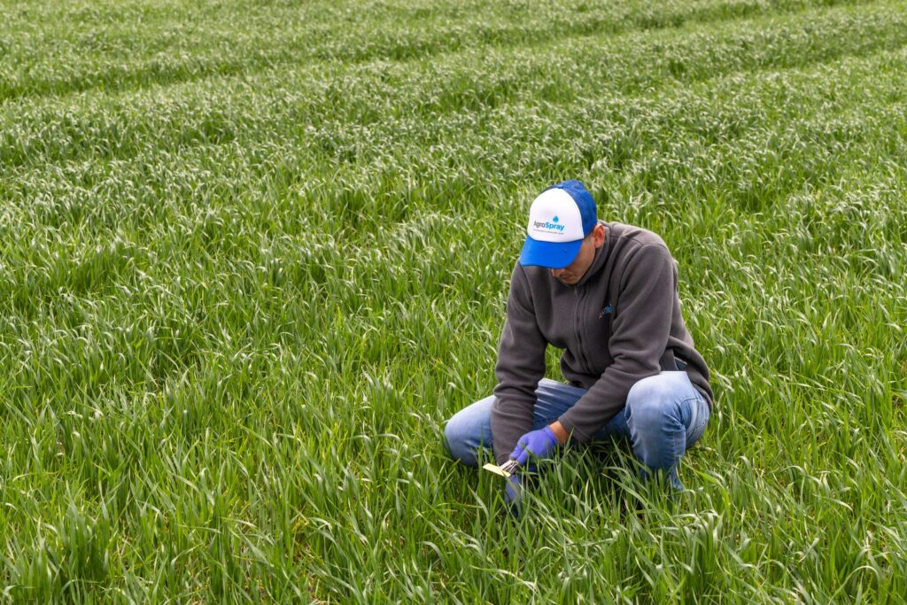 Día del Suelo: Cómo mejorar el rendimiento de tus cultivos
