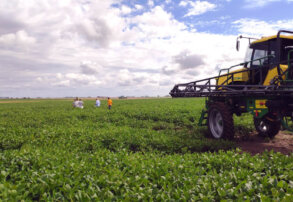 10 Tendencias Agrícolas para 2025: Cómo Prepararse para el Nuevo Año en el Agro Argentino