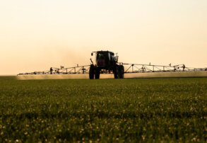 Tipos de producción agrícola: ¿Cuál es el ideal para tu campo?