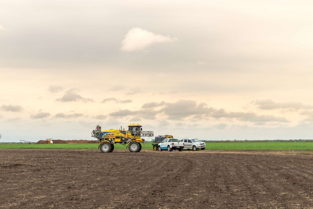 Estrategias de AgroSpray para recuperar cultivos afectados por fitotoxicidad