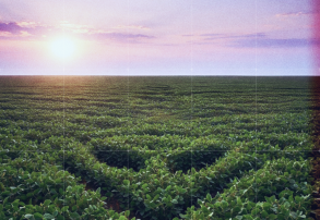 Expoagro 2025: Innovación, tecnología y AgroSpray con stand propio