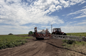 Control de malezas en el agro: claves para un manejo eficiente
