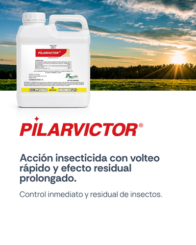 PilarVictor