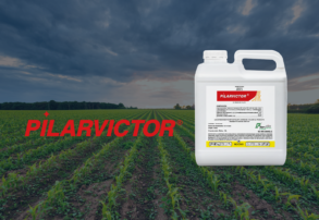 PILARVICTOR: decisiones técnicas para proteger el área foliar en soja