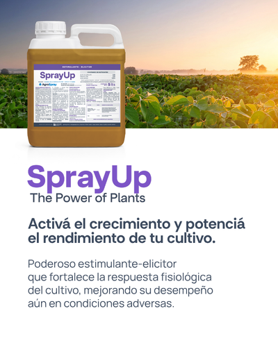 SprayUp